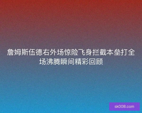 詹姆斯伍德右外场惊险飞身拦截本垒打全场沸腾瞬间精彩回顾